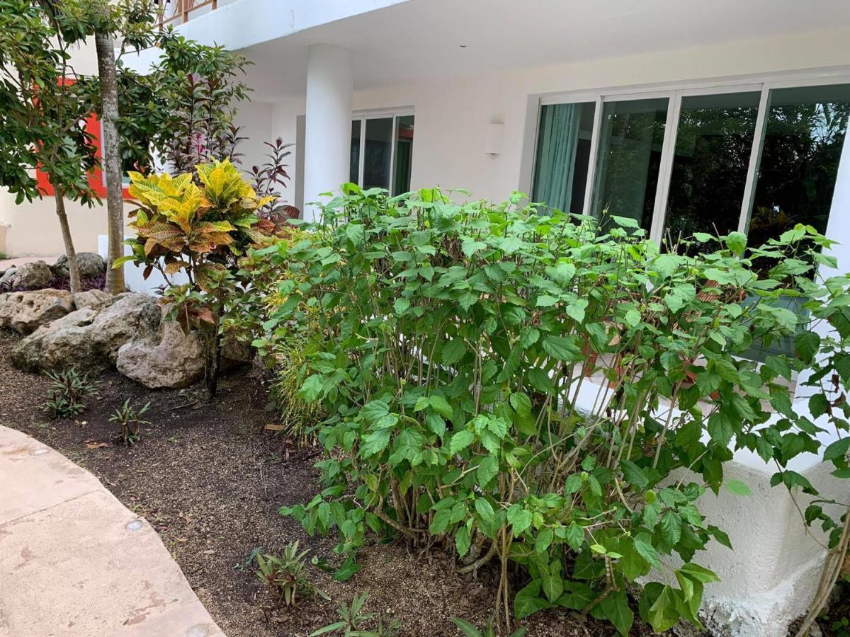 Villas Bakalar Bacalar Exterior photo